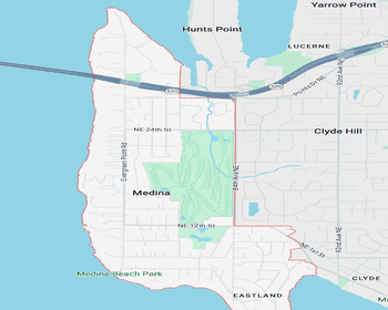 Medina laundry service with free pickup and delivery